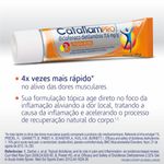 Cataflam-Pro-Emulgel--116mg-g--30g