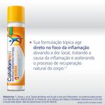 Cataflam-Pro-Aerossol-116mg-g-85ml