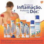 Cataflam-Pro-Emulgel-116mg-g-60g