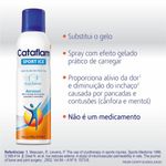 Cataflam-Sport-Ice-Aerossol-120g
